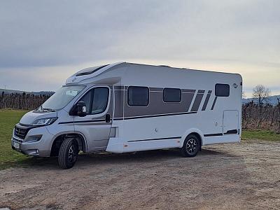 Carado T 447